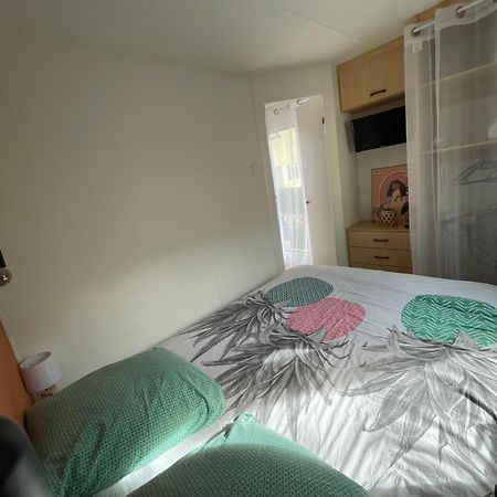 Camping Des Acacias Saint-Paulet-de-Caisson Екстериор снимка